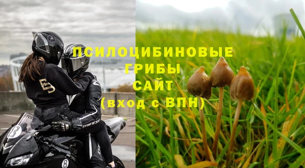гидропоника Балахна