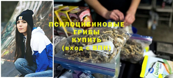 ALPHA PVP Баксан